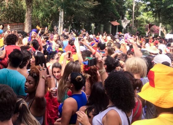Grupo de pessoas festeja carnaval nas ruas de Porto Alegre