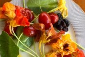 Fotografia mostra hortaliças e flores comestíveis (capuchinha), referindo questões relacionadas à alimentação saudável