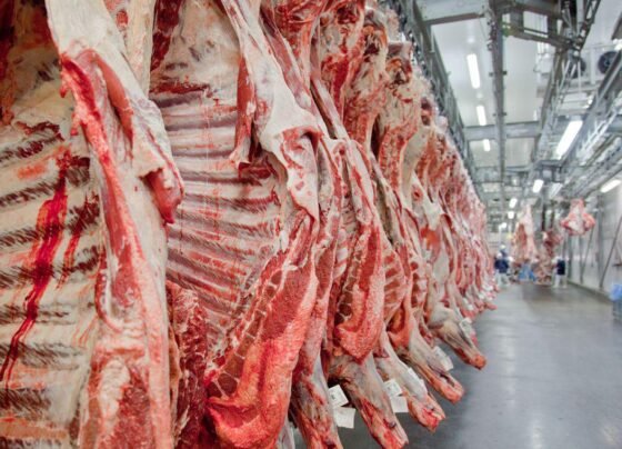 carne bovina - autoembargo