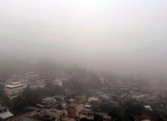 Leopoldina amanhece sob forte neblina neste sábado