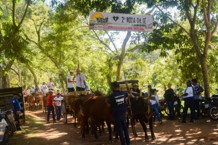 Patrocínio do Muriaé realiza desfile de carros de bois com mais de 70 veículos