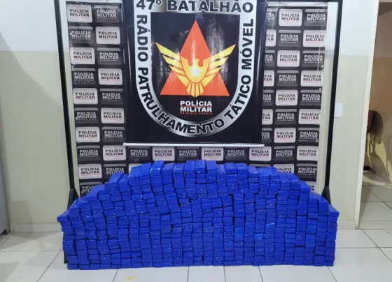 Polícia Militar apreende quase 300 kg de maconha na BR-356