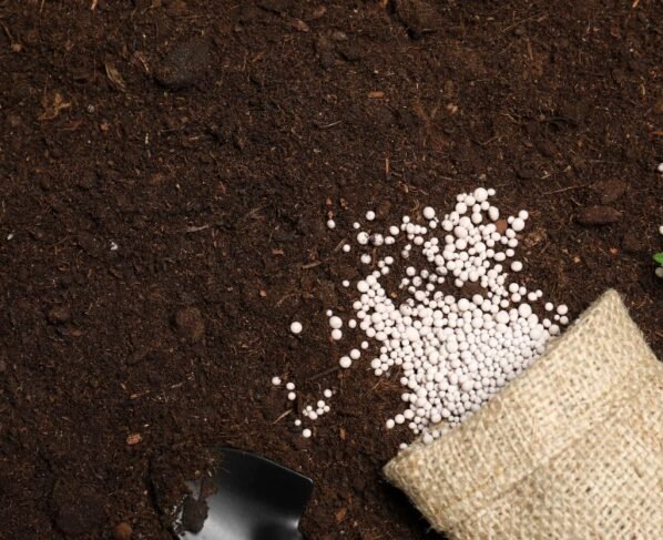 Setor de fertilizantes cresce no Brasil, mas ainda depende da importação